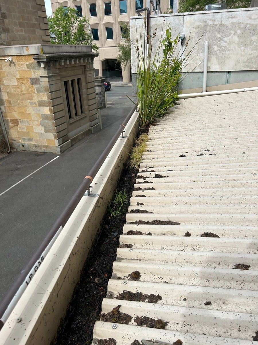 What are the main responsibilities of a roof plumber?