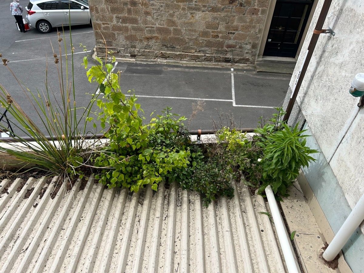 Roof Plumbing